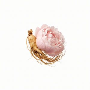 Ginseng- & Paeonia-Extrakt