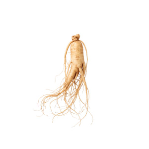 Panax Ginseng
