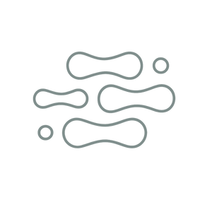 Bacillus Ferment